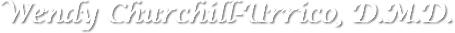 Wendy Churchill-Urrico, D.M.D.